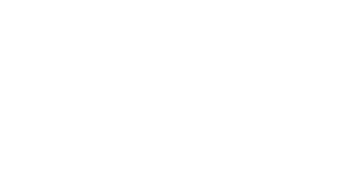 logo-wizzas